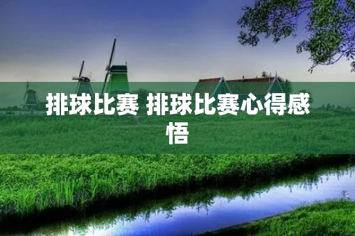 排球比赛 排球比赛心得感悟