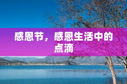 感恩节,感恩生活中的点滴