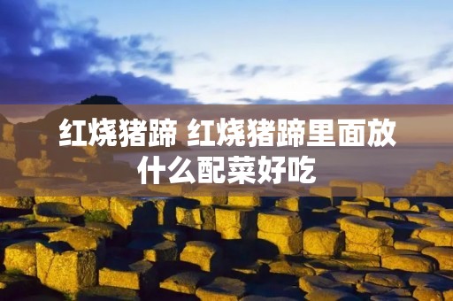 红烧猪蹄 红烧猪蹄里面放什么配菜好吃 红烧猪蹄 红烧猪蹄里面放什么配菜好吃