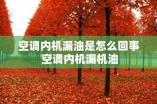 空调内机漏油是怎么回事 空调内机漏机油