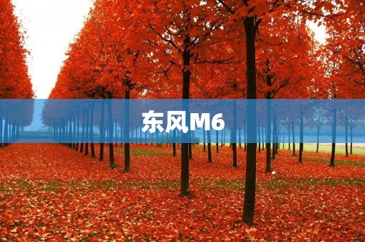 东风M6：舒适驾乘体验的完美呈现