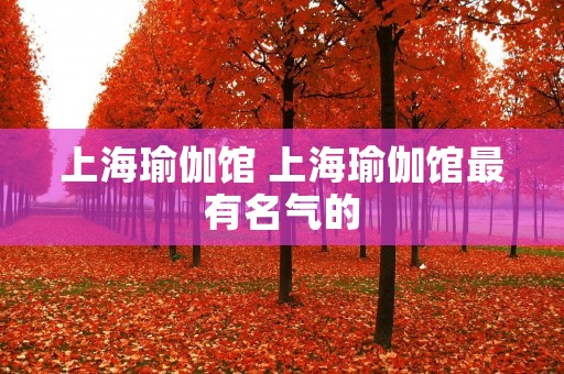 上海瑜伽馆 上海瑜伽馆最有名气的