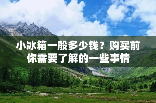 小冰箱一般多少钱？购买前你需要了解的一些事情
