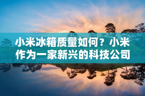 小米冰箱质量如何？小米作为一家新兴的科技公司，其在家电领域的产品备受消费者关注。小米冰箱作为小米家电系列中的一员，其产品也备受广大消费者的喜爱。但是，小米冰箱质量到底如何呢？下面我们来一起探讨一下。