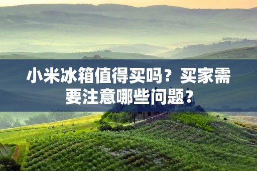 小米冰箱值得买吗？买家需要注意哪些问题？