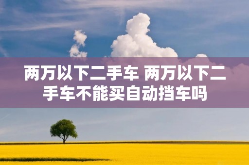 两万以下二手车 两万以下二手车不能买自动挡车吗