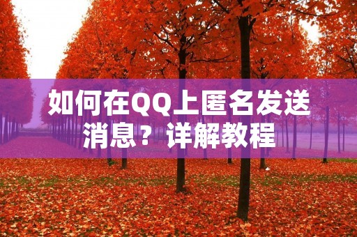 如何在QQ上匿名发送消息？详解教程