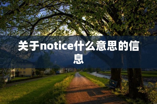 关于notice什么意思的信息