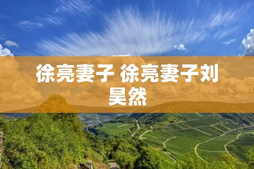 徐亮妻子 徐亮妻子刘昊然