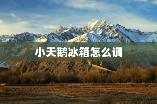 小天鹅冰箱怎么调