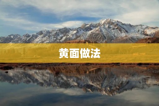 黄面做法：一份美味的日式拉面