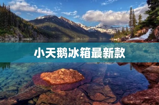 小天鹅冰箱最新款：超大空间，智能节能！