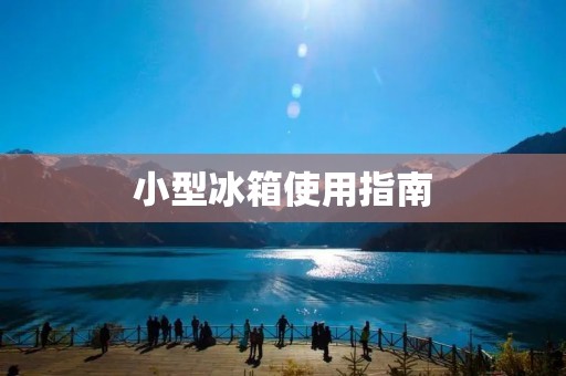 小型冰箱使用指南：如何更好地利用小空间