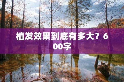 植发效果到底有多大?600字 植发效果到底有多大?600字