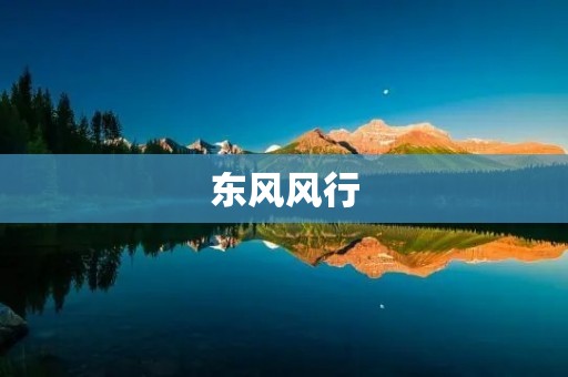 东风风行:打造优秀的自主品牌汽车