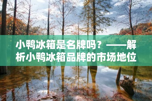 小鸭冰箱是名牌吗？——解析小鸭冰箱品牌的市场地位和产品特点