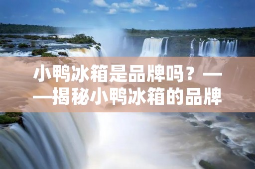 小鸭冰箱是品牌吗？——揭秘小鸭冰箱的品牌背景和市场表现