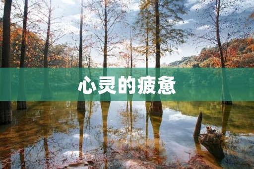 心灵的疲惫:心累的说说