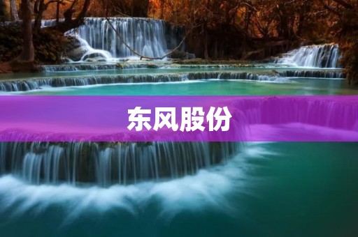 东风股份:汽车产业中的领军企业 东风股份:汽车产业中的领军企业
