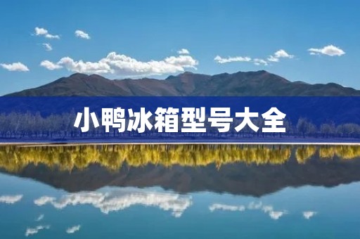 小鸭冰箱型号大全：为您打造舒适生活