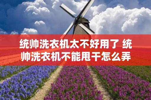 统帅洗衣机太不好用了 统帅洗衣机不能甩干怎么弄