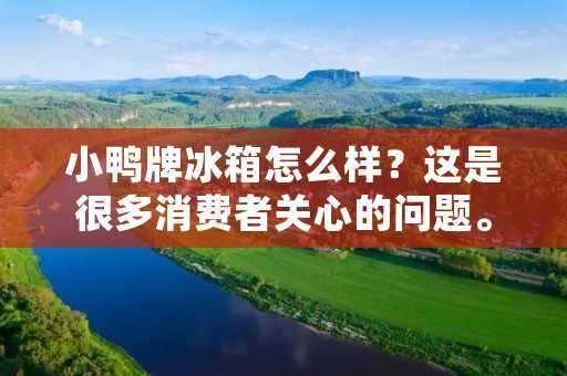 小鸭牌冰箱怎么样？这是很多消费者关心的问题。小鸭牌冰箱是一款来自国内知名家电品牌的产品，其以高性价比、实用性强、外观简约大方等特点受到了广大消费者的喜爱。接下来，我们就来详细了解一下小鸭牌冰箱的各项优缺点。