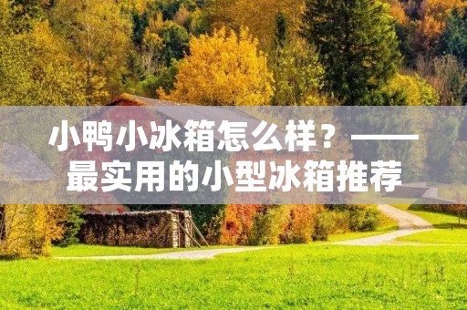 小鸭小冰箱怎么样？——最实用的小型冰箱推荐