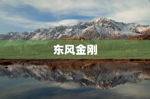 东风金刚：开创中国汽车工业新纪元