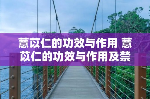 薏苡仁的功效与作用 薏苡仁的功效与作用及禁忌