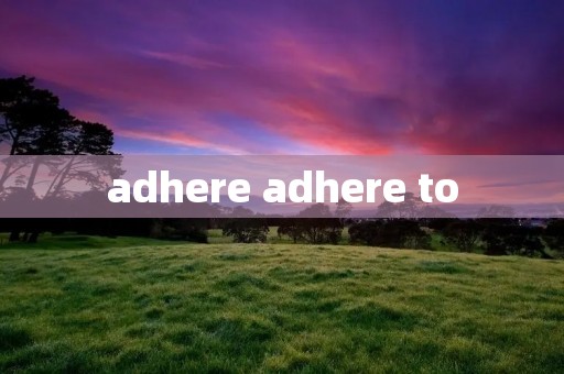 adhere adhere to