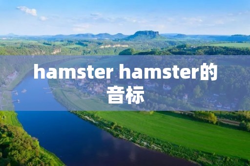 hamster hamster的音标