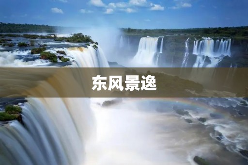 东风景逸：时尚、舒适、安全的选择