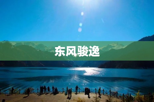 东风骏逸:一款实用性极强的家用轿车 东风骏逸:一款实用性极强的家用轿车