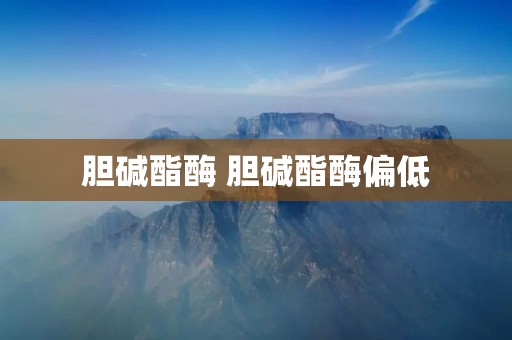 胆碱酯酶 胆碱酯酶偏低 胆碱酯酶 胆碱酯酶偏低