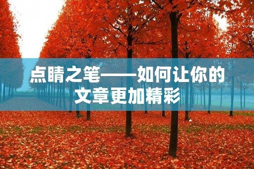 点睛之笔——如何让你的文章更加精彩