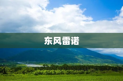 东风雷诺：中国市场的新贵
