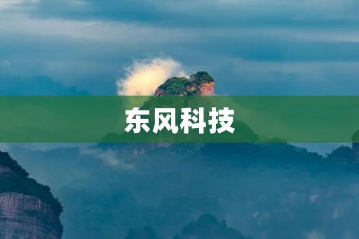 东风科技：创新引领未来