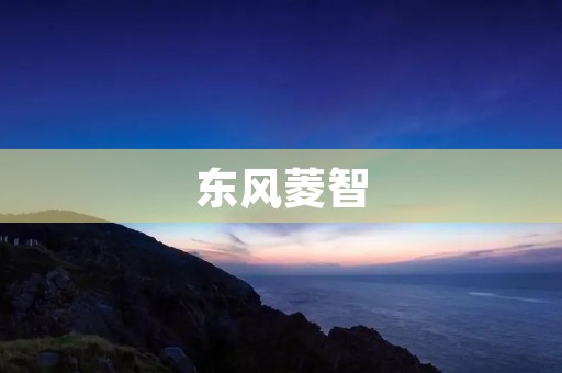 东风菱智:智能化时代的领航者 东风菱智:智能化时代的领航者