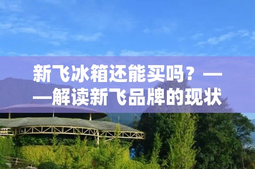 新飞冰箱还能买吗？——解读新飞品牌的现状