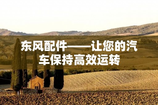 东风配件——让您的汽车保持高效运转 东风配件——让您的汽车保持高效运转