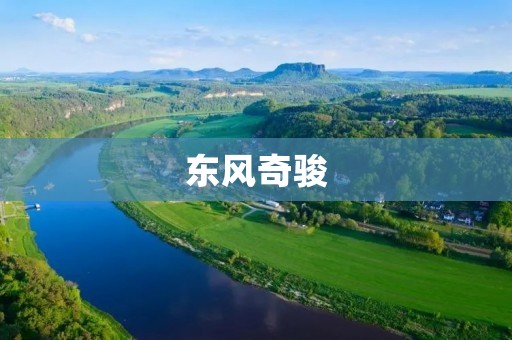 东风奇骏：一款豪华性能SUV