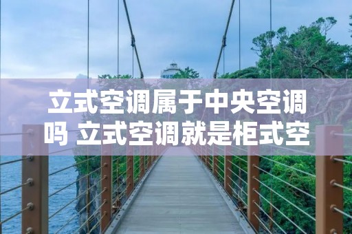 立式空调属于中央空调吗 立式空调就是柜式空调吗