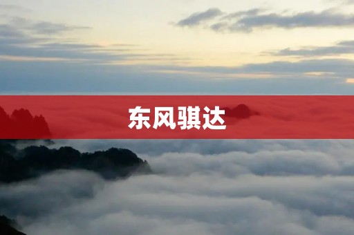 东风骐达：让你的商业生活更加便捷