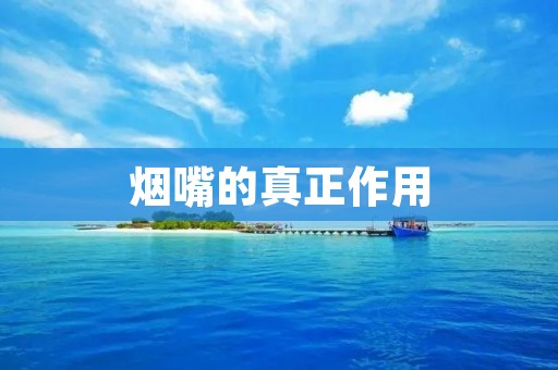 烟嘴的真正作用:保护你的身体 烟嘴的真正作用:保护你的身体
