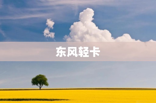 东风轻卡：质量稳定，性价比高的好选择！
