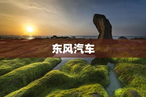 东风汽车:中国汽车行业的领跑者 东风汽车:中国汽车行业的领跑者