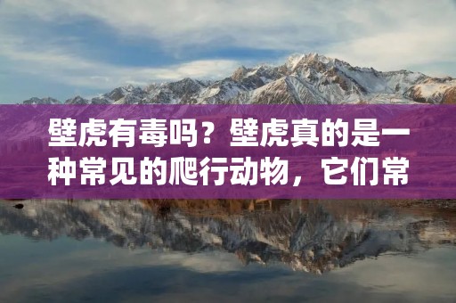 壁虎有毒吗？壁虎真的是一种常见的爬行动物，它们常常被人们视为是家中的宠物，因为它们可以帮助人们捕捉害虫，比如蚊子和苍蝇等。壁虎的身体柔软而灵活，它们可以在墙壁和天花板上自由爬行，非常的敏捷。但是，有些人却担心壁虎是否有毒，特别是对于小孩和宠物来说，这个问题更加的严重。