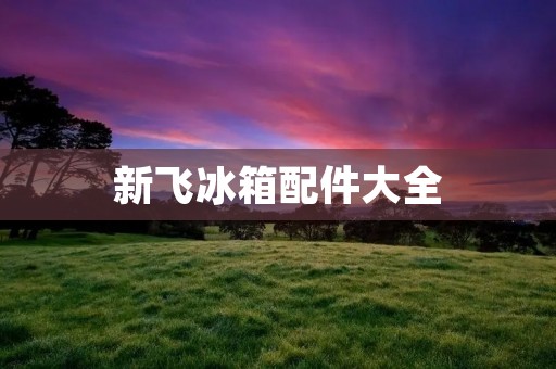 新飞冰箱配件大全:全面升级冰箱维修保养 新飞冰箱配件大全:全面升级冰箱维修保养