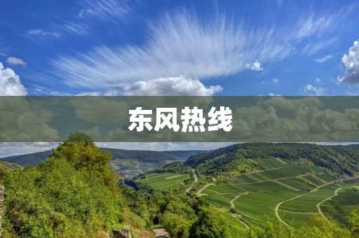 东风热线:传递温暖的力量 东风热线:传递温暖的力量