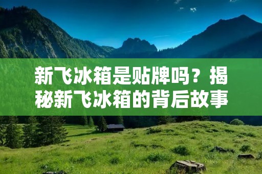 新飞冰箱是贴牌吗？揭秘新飞冰箱的背后故事